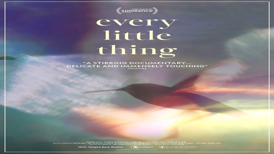 فيلم Every Little Thing 2024 مترجم