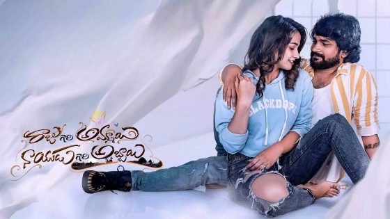 فيلم Raju Gari Ammayi Naidu Gari Abbayi 2024 مترجم