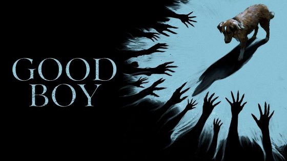 فيلم Good Boy 2025 مترجم