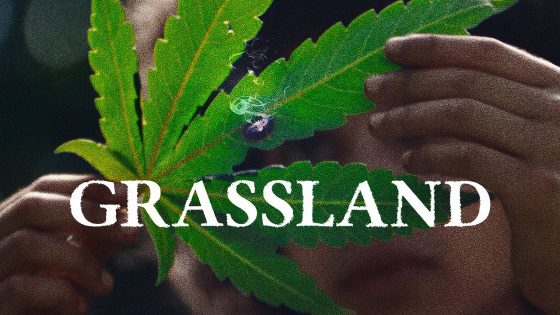 فيلم Grassland 2024 مترجم
