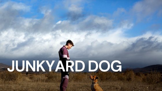 فيلم Junkyard Dog 2023 مترجم