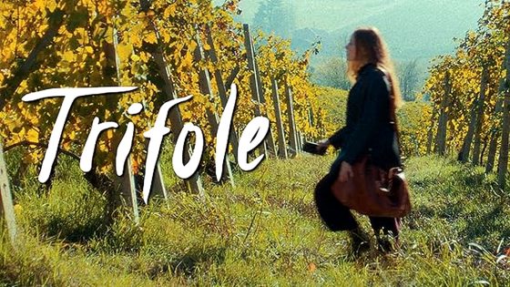 فيلم Trifole 2024 مترجم